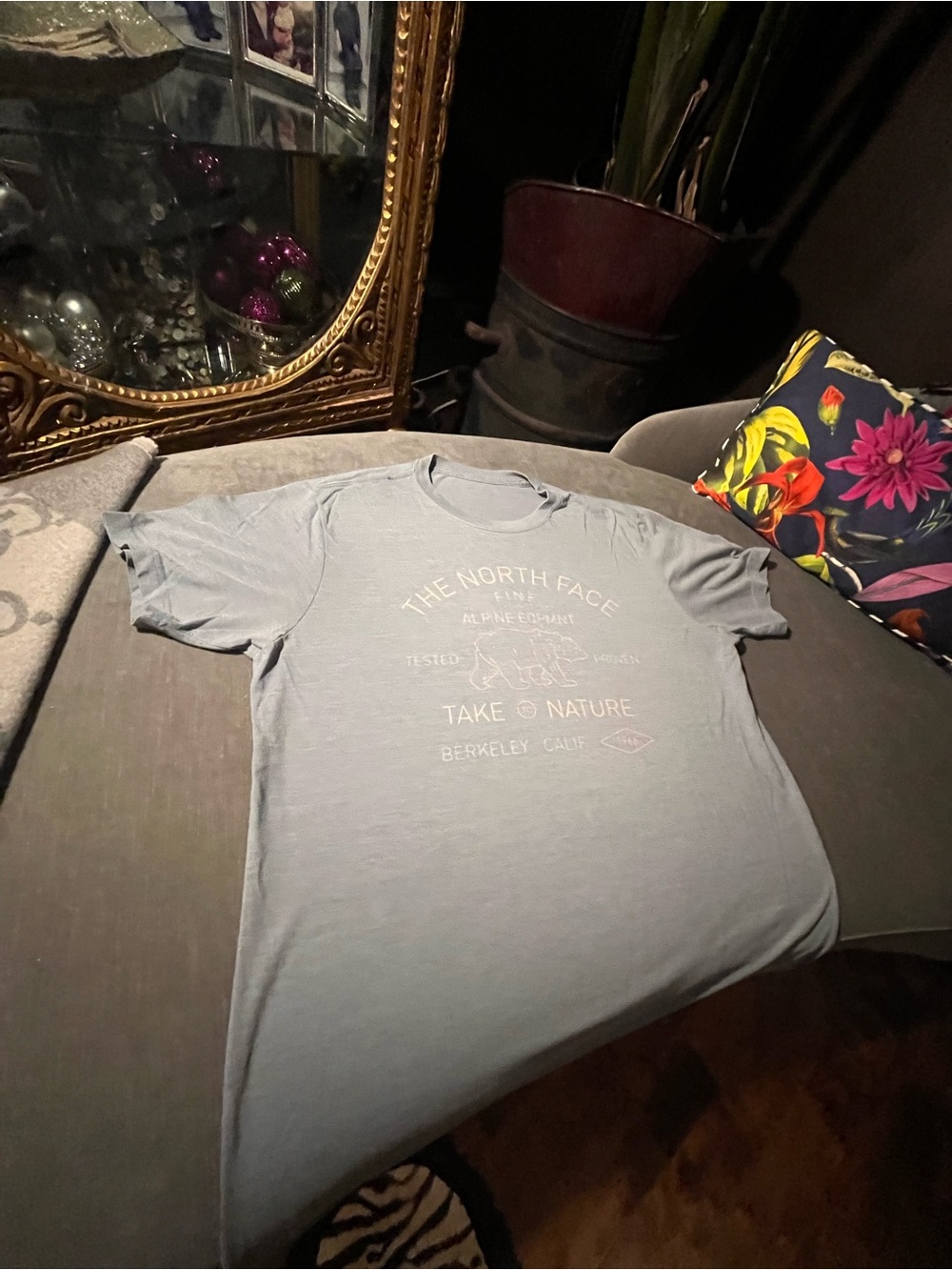 The North Face Men's Light Gray 'Take to Nature' Graphic Tee